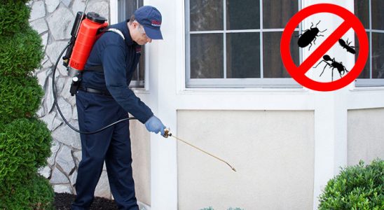 Zeytinburnu Haşere İlaçlama böcek ilaçlama ve haşere kontrolü — ilaclama-tr.com